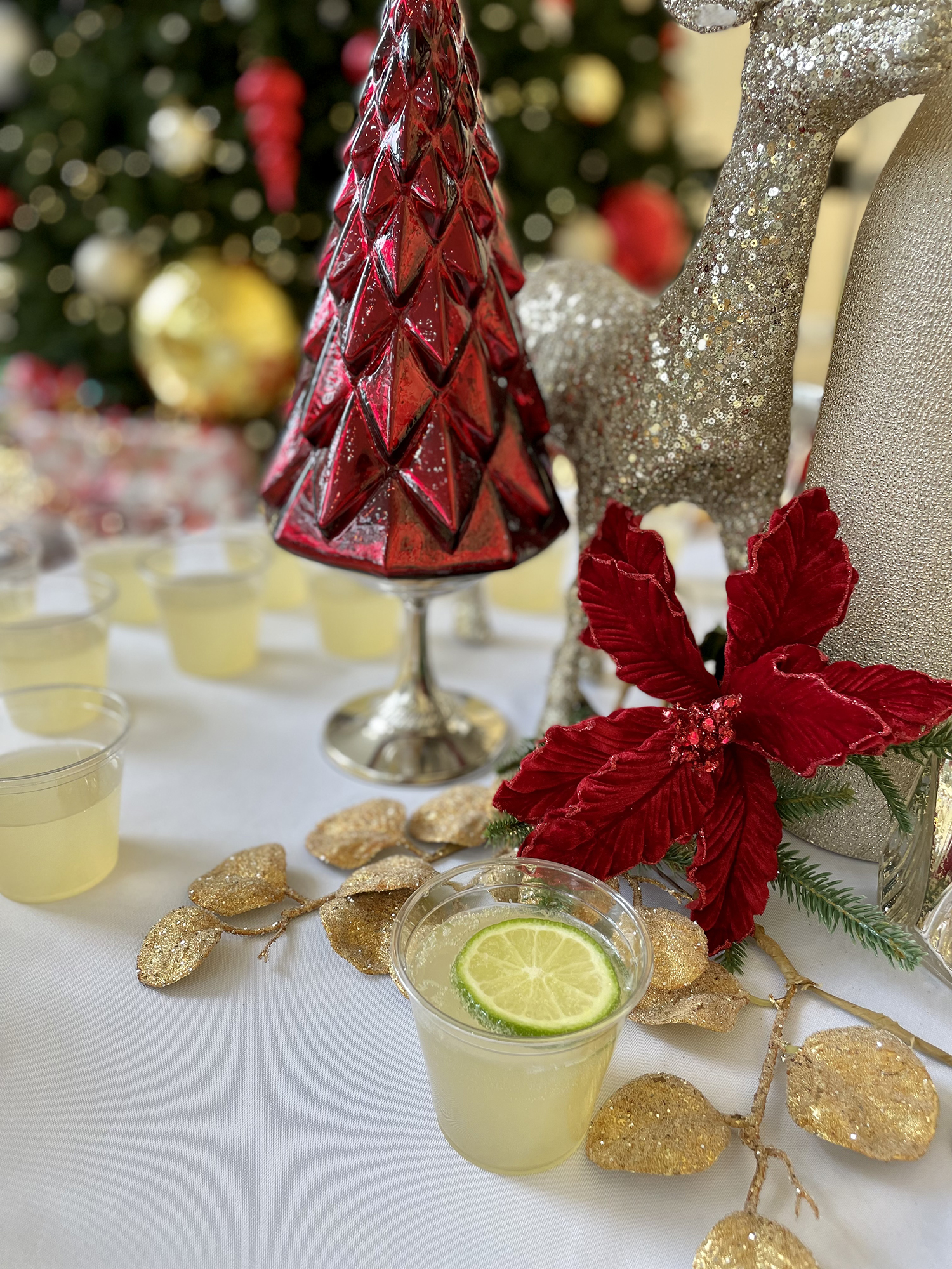 Skyline Events and Socials Holiday Punch