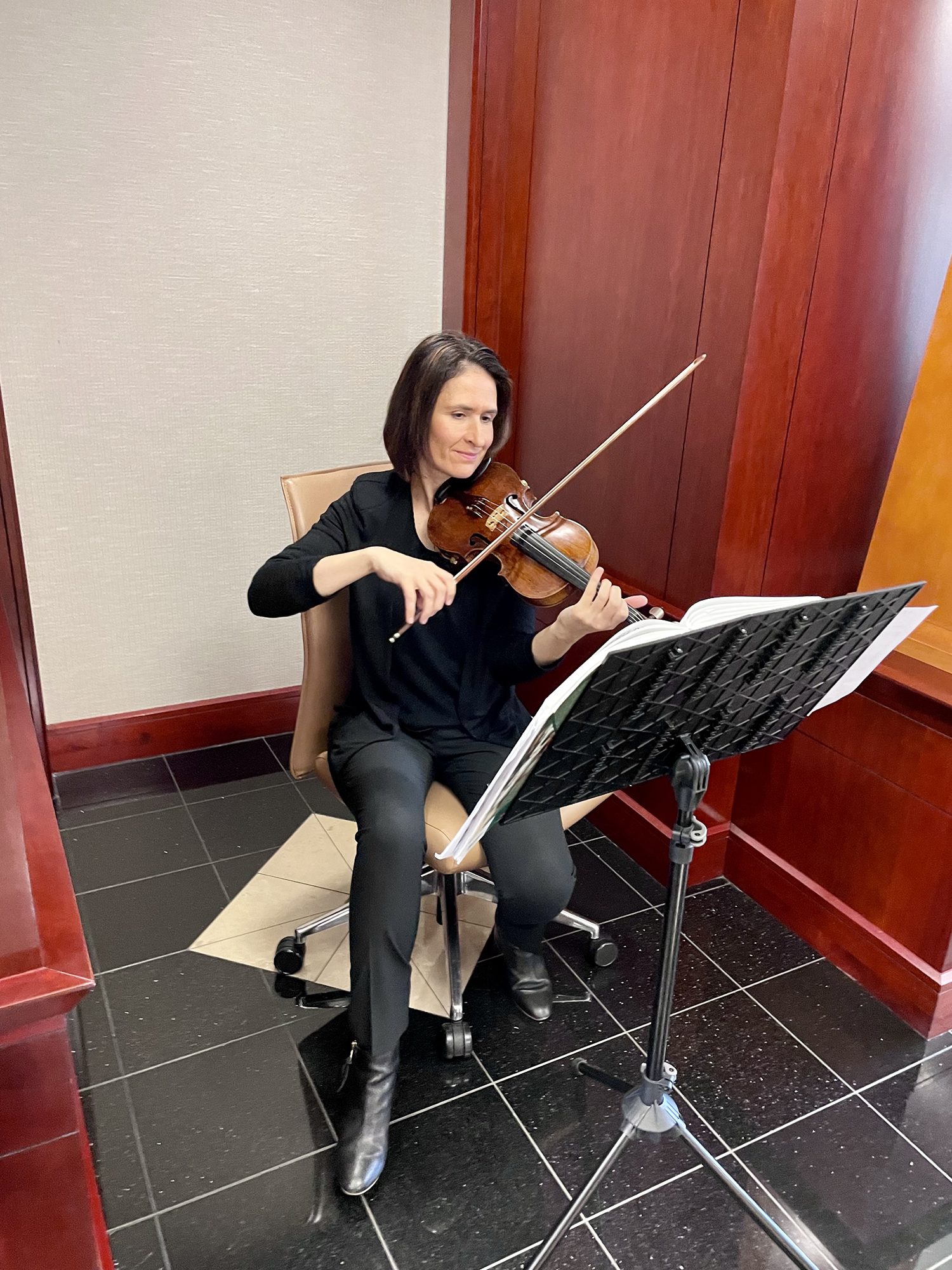 Skyline Events and Socials Holiday Violinist